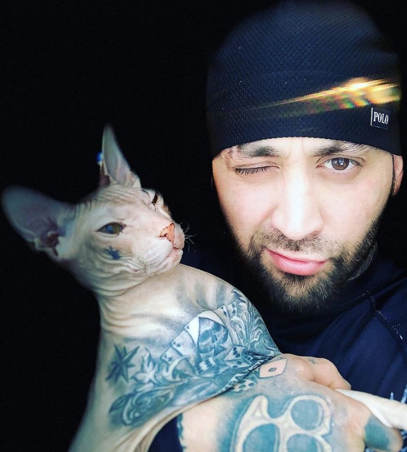 Katten Demon Katten Demon